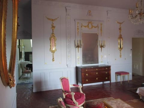 castel de la comtesse Bed and Breakfast in Blois