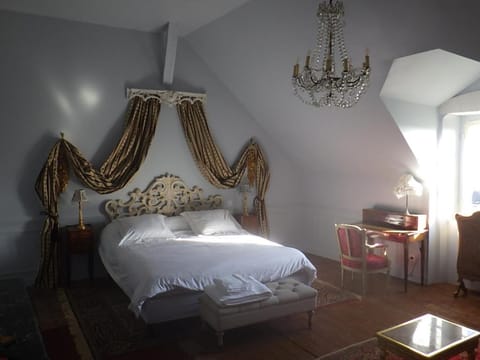 castel de la comtesse Bed and Breakfast in Blois