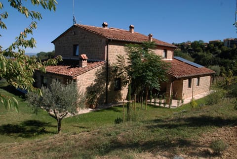 BBQ facilities, Garden