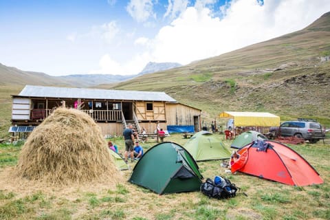 Day, Natural landscape, Mountain view, group of guests