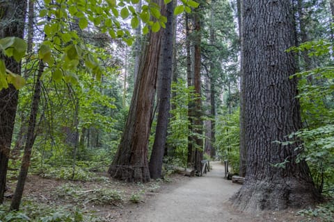 On The 9th House in Arnold