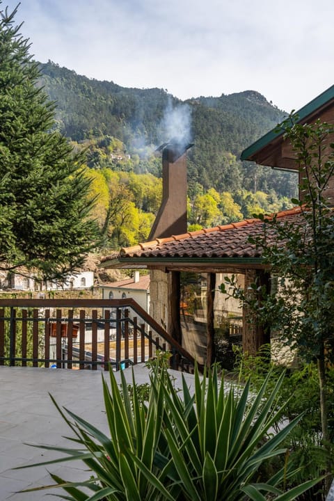 Patio, Garden, Balcony/Terrace