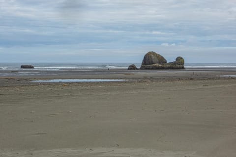 Rocks Cabin Cabin in Copalis Beach