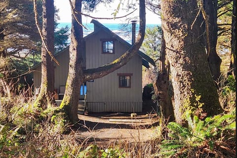 Rocks Cabin Cabin in Copalis Beach