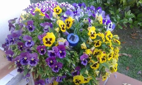 CA' MENEGHETTI Villa in Emilia-Romagna