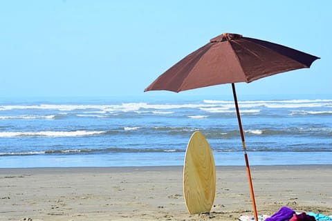 Driftwood Cottage House in Moclips