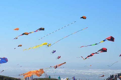 Driftwood Cottage House in Moclips