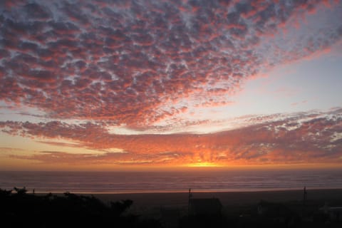 Driftwood Cottage House in Moclips