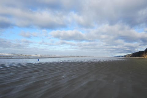 Driftwood Cottage House in Moclips