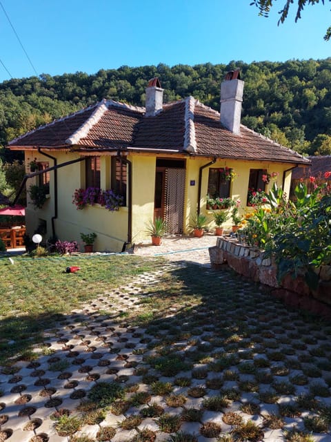 Property view