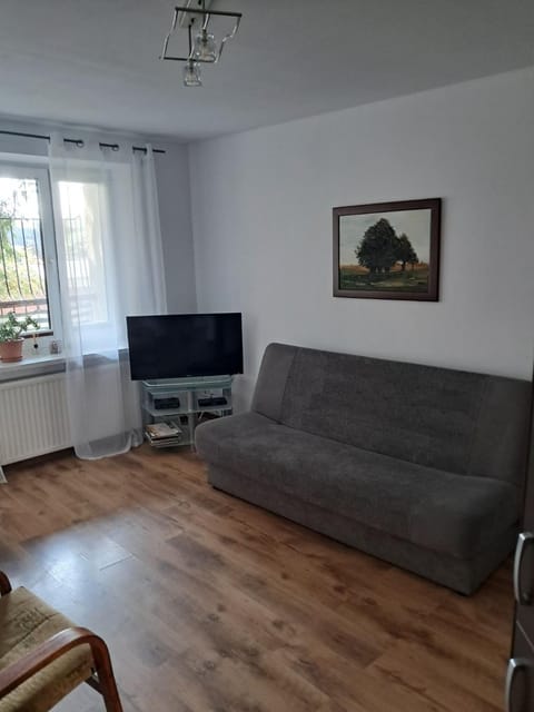 Emilka Apartment in Lithuania