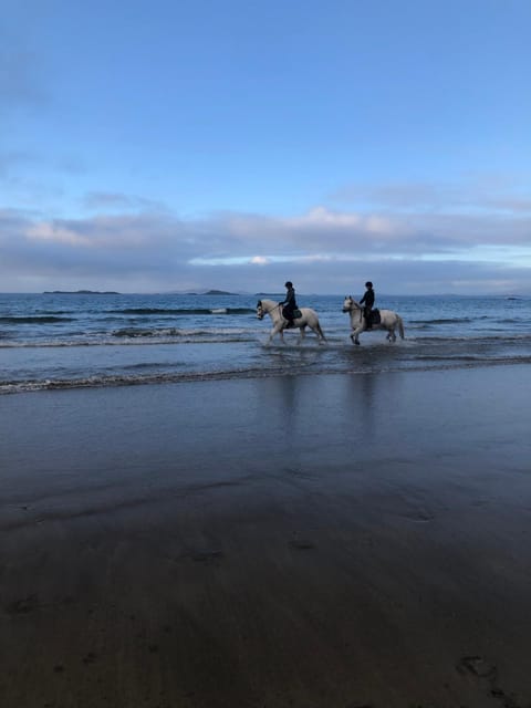 Letterfrack Mountain Farm Cottage on farm in village centre Villa in County Mayo