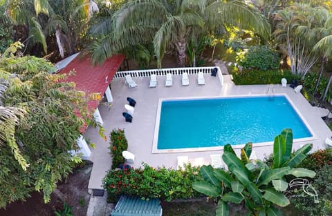 Garden, Swimming pool