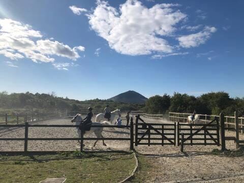 Garden, Animals, Mountain view