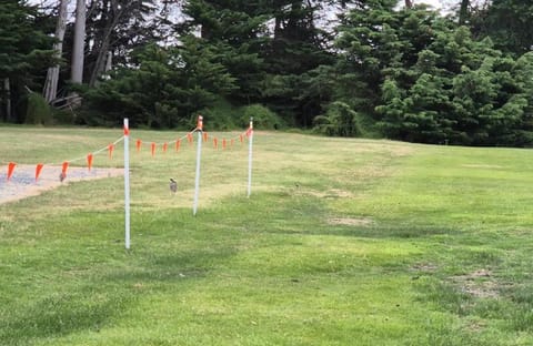 BIG4 Kelso Sands Holiday & Native Wildlife Park Campground/ 
RV Resort in Tasmania