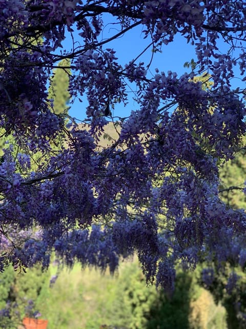 San Martino Vald'Afra Bed and Breakfast in Umbria