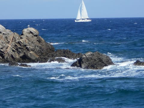 Sea view