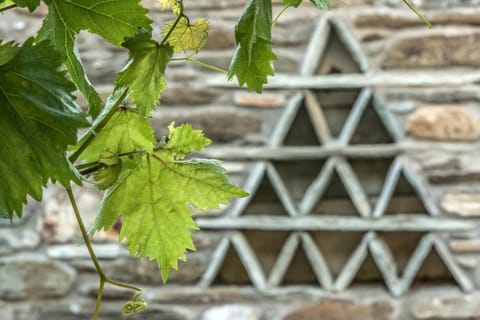 BBQ facilities, Garden, Decorative detail, Dining area, Garden view, Mountain view