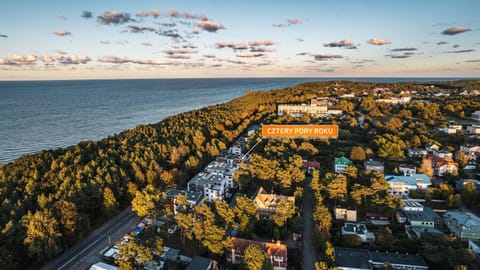 Bird's eye view, Location