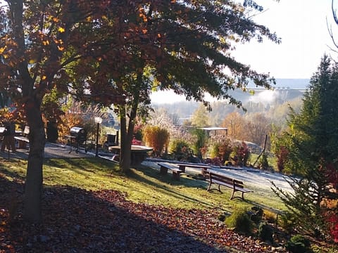 Neighbourhood, Natural landscape, Garden
