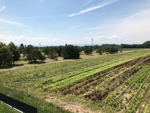 Ferienwohnung Eimeldingen Apartment in Weil am Rhein