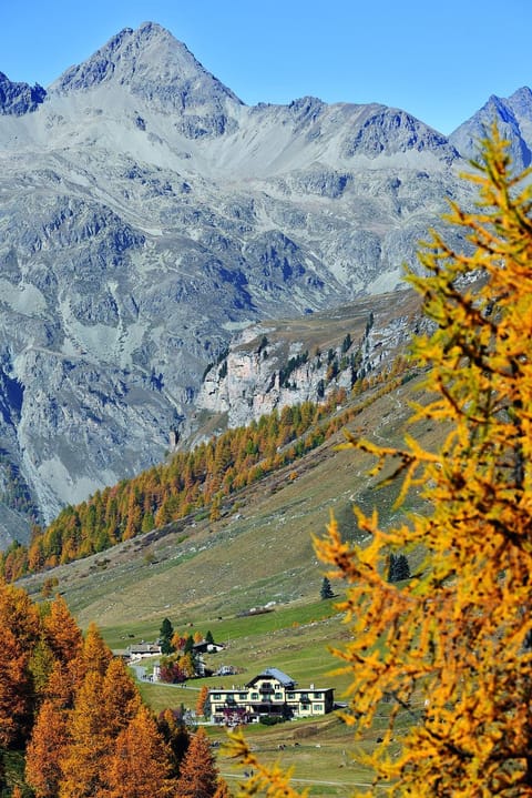Natural landscape, Hiking, Mountain view
