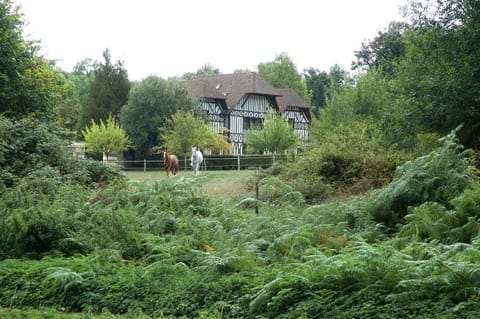 Property building, Garden