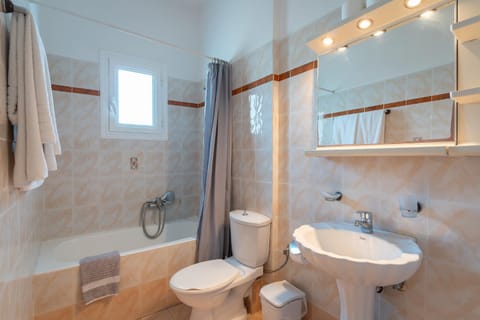 Dion Zois Apartment in Messenia