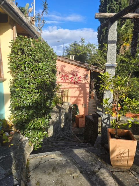 Property building, Spring, Day, Garden, Garden view