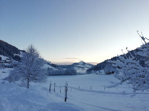 View (from property/room)