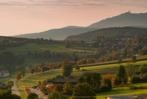 Natural landscape