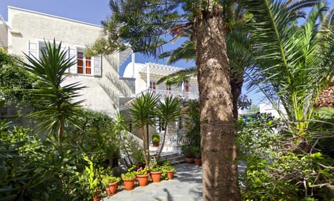 Property building, Day