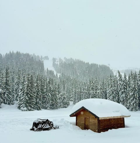 Day, Natural landscape, Winter
