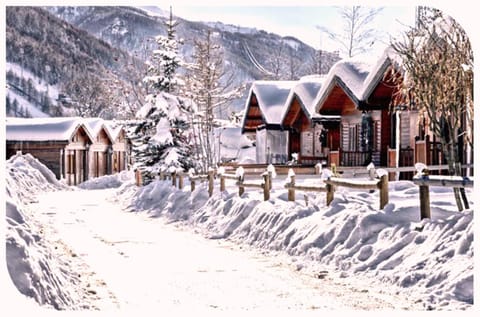 Natural landscape, Winter