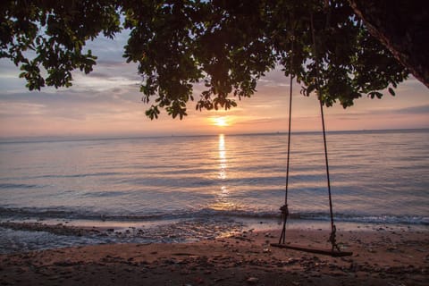 Natural landscape, Beach, Sunset