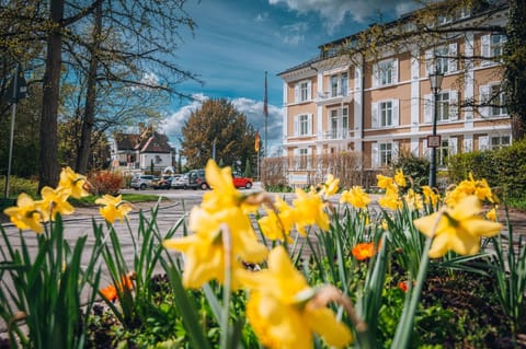 Property building, Spring