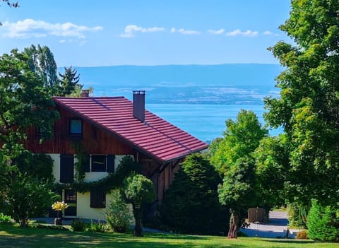 Property building, Summer, Garden view, Lake view