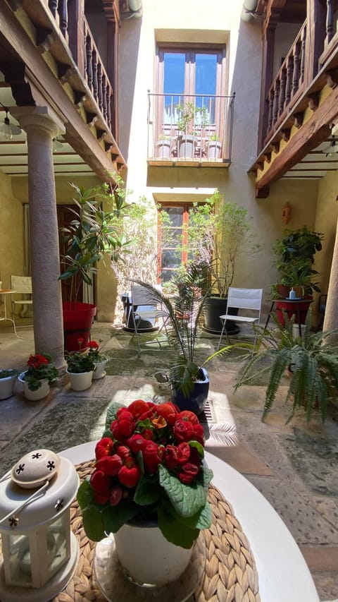 Patio, Garden, Garden view, Inner courtyard view
