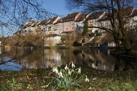 Property building, Spring, Area and facilities