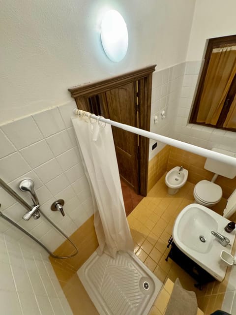 Shower, Toilet, Bathroom, bidet, towels