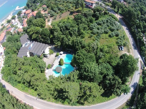 Day, Bird's eye view