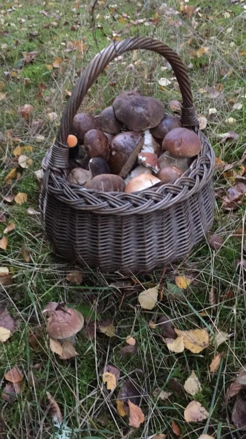 Pokoje Przy Warszawskiej Vacation rental in West Pomeranian Voivodeship, Poland