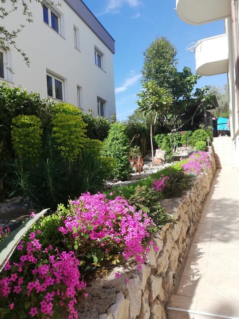 Spring, Day, Garden, Garden view