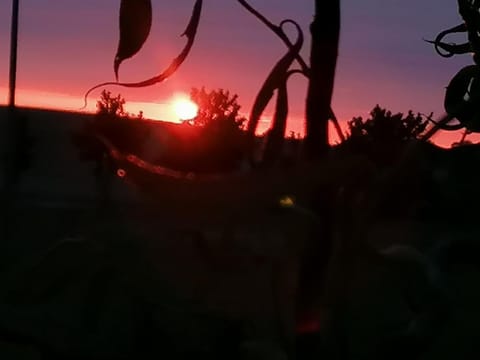 Ferienwohnung am Haffberg Apartment in Zirchow