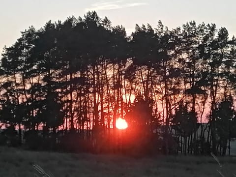 Ferienwohnung am Haffberg Apartment in Zirchow