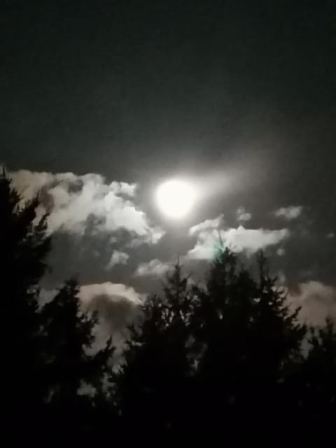 Ferienwohnung am Haffberg Apartment in Zirchow