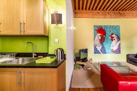 All in Lyon | La Loge des Avocats du Vieux Lyon Apartment in Lyon