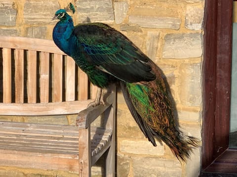 Weston Grounds Farm Bed and Breakfast in Cherwell District