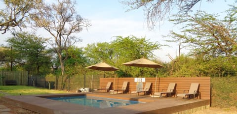 Balcony/Terrace, Swimming pool, sunbed