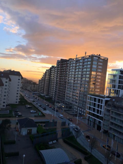 Meeuwenbank Apartment in Koksijde